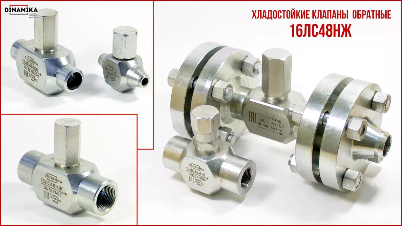 16лс48нж Клапан обратный подъёмный в Красноярске